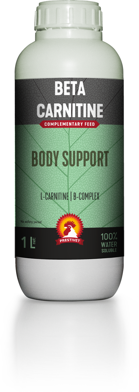 BETA CARNITINE